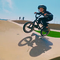BMX MAX