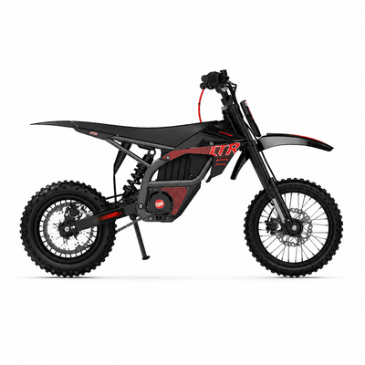EM02 Off-Road Electric Mini Dirt Bike for Teens & Adults