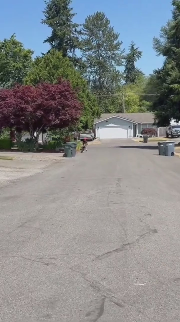Load video: 
